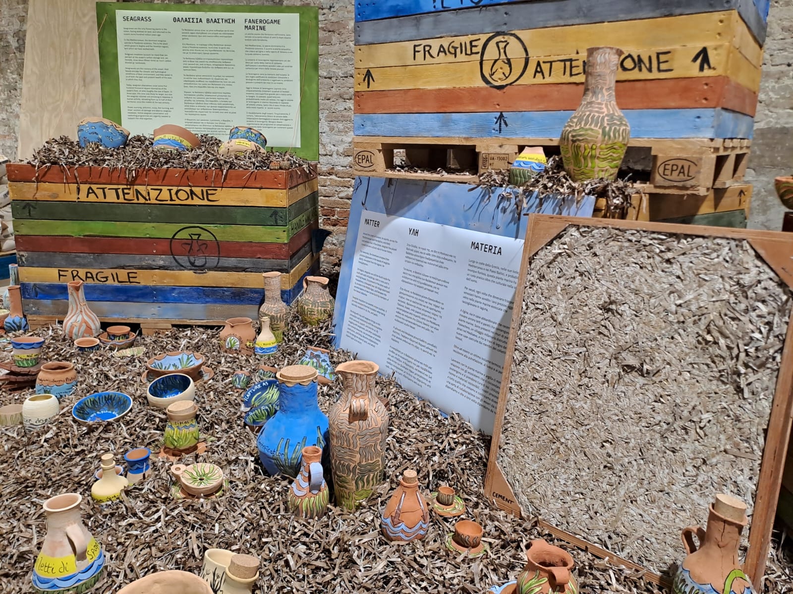 The Only Flowering Plant In The Ocean