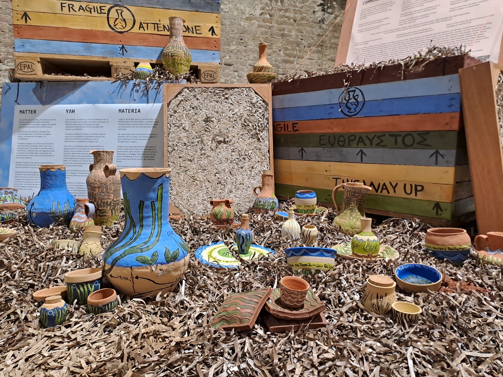 The Only Flowering Plant In The Ocean