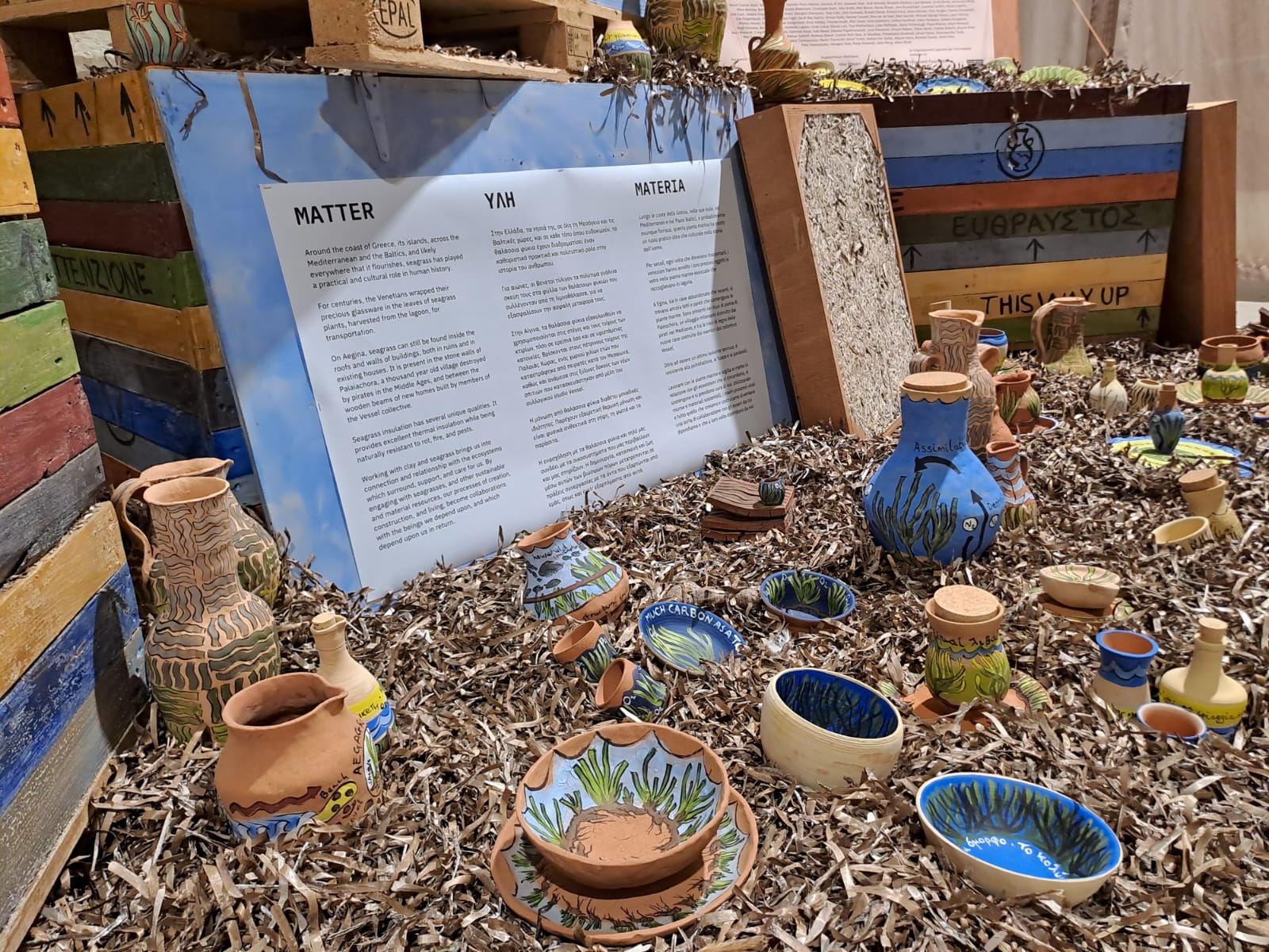 The Only Flowering Plant In The Ocean