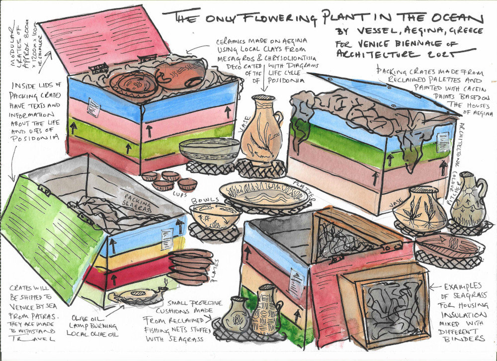 The Only Flowering Plant In The Ocean